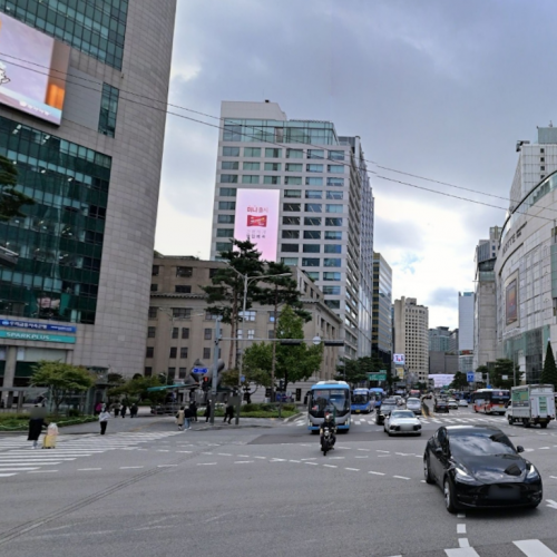 MN 라이브